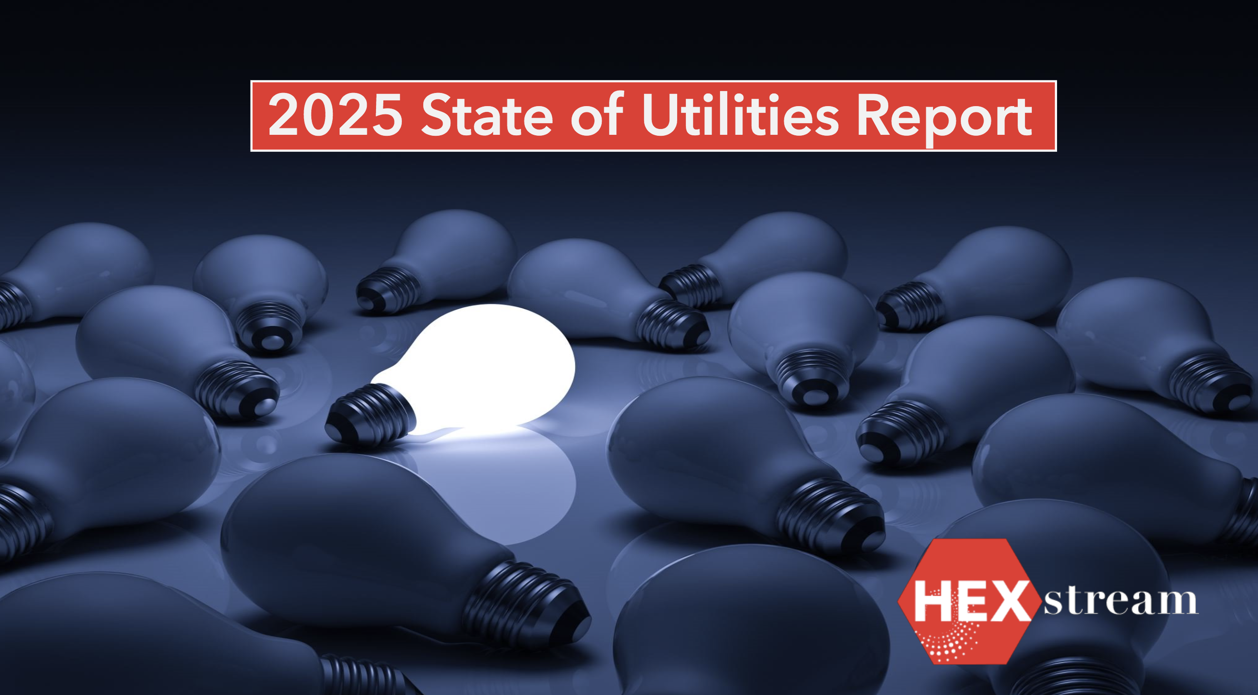 2025 REPORT intelligence overview